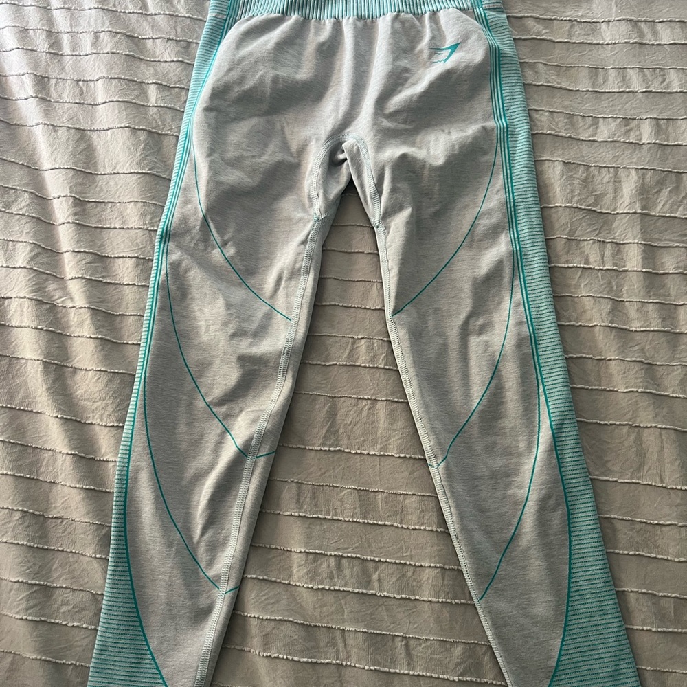 Gymshark Gray Leggings with Teal Accents